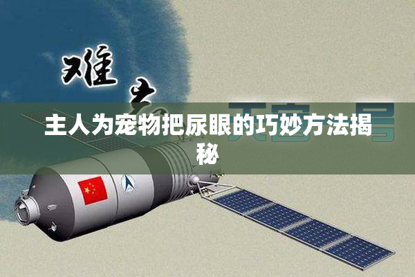 主人为宠物把尿眼的巧妙方法揭秘