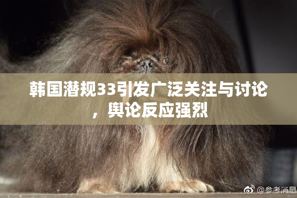 韩国潜规33引发广泛关注与讨论，舆论反应强烈