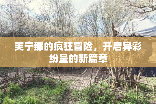 芙宁那的疯狂冒险，开启异彩纷呈的新篇章