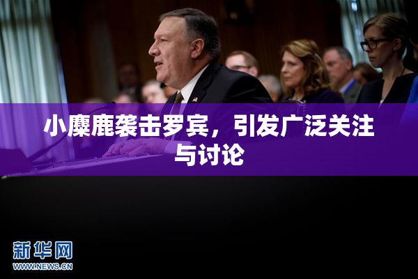 小麋鹿袭击罗宾，引发广泛关注与讨论