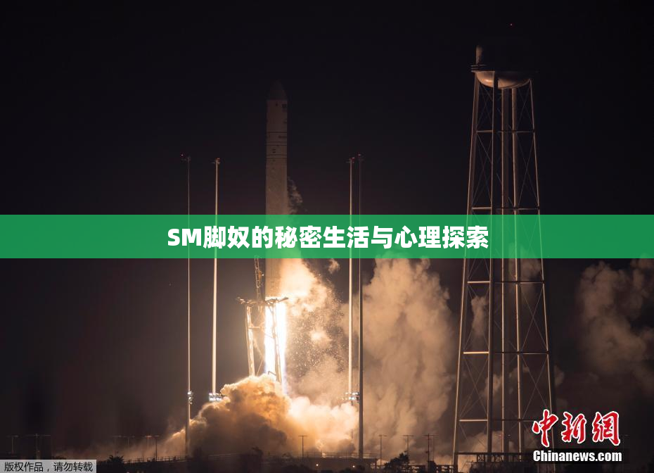 SM脚奴的秘密生活与心理探索