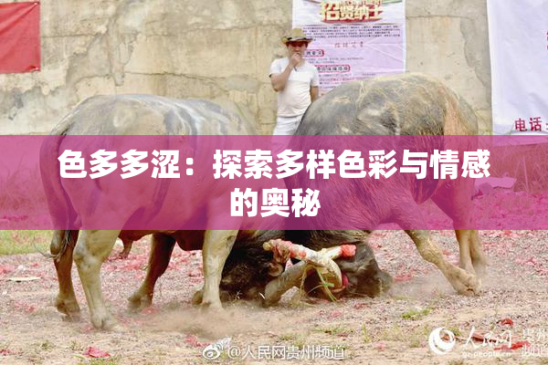 色多多涩：探索多样色彩与情感的奥秘