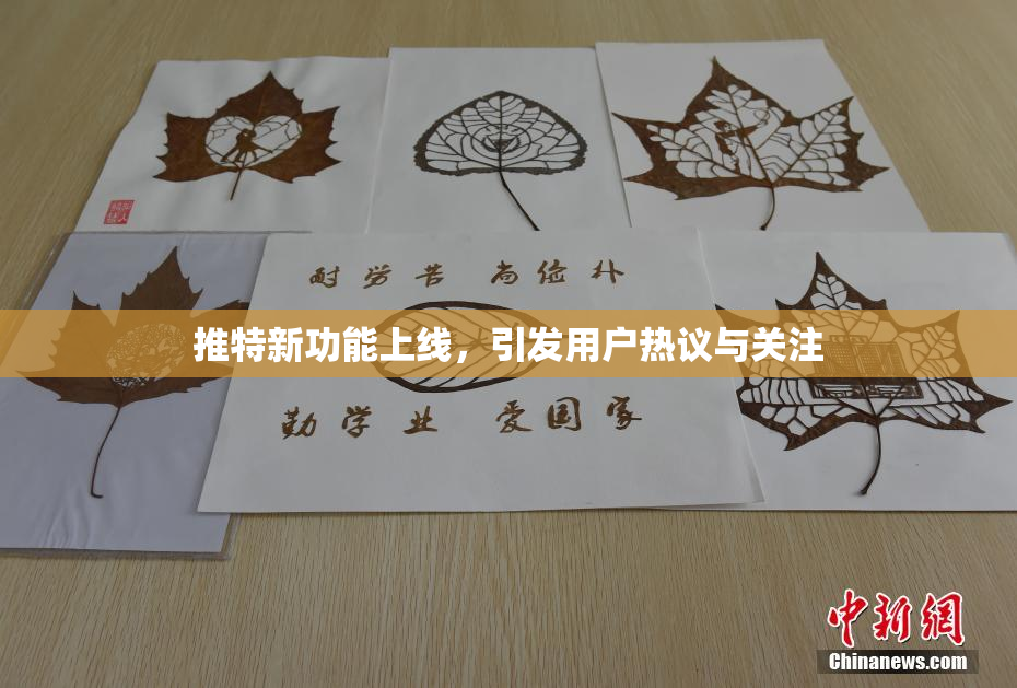 推特新功能上线，引发用户热议与关注