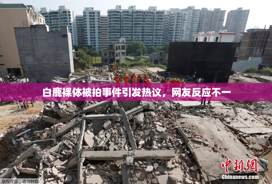 白鹿裸体被拍事件引发热议，网友反应不一