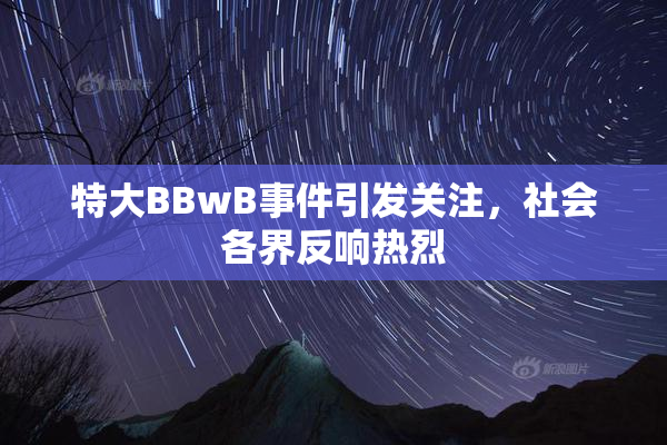 特大BBwB事件引发关注，社会各界反响热烈