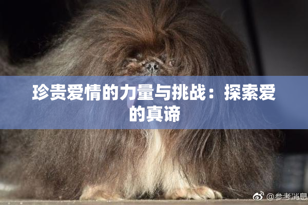 珍贵爱情的力量与挑战：探索爱的真谛