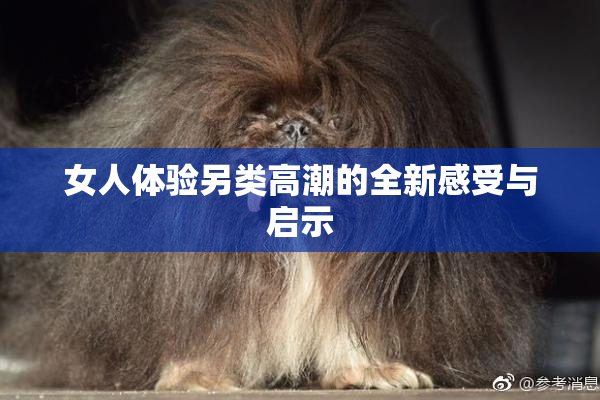 女人体验另类高潮的全新感受与启示