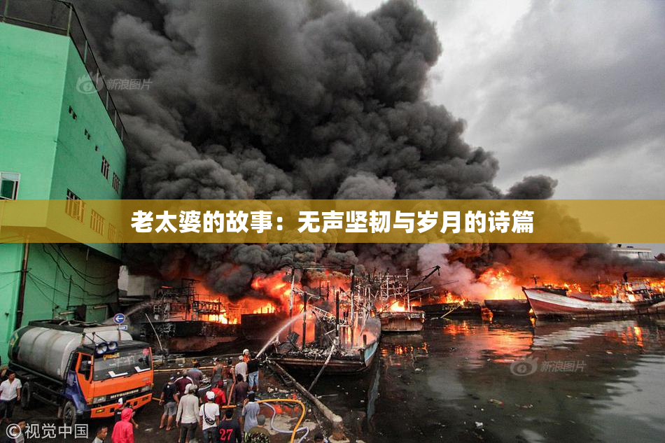 老太婆的故事：无声坚韧与岁月的诗篇