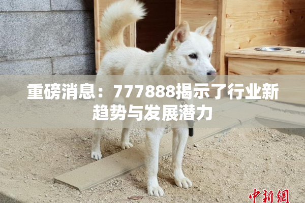 重磅消息：777888揭示了行业新趋势与发展潜力