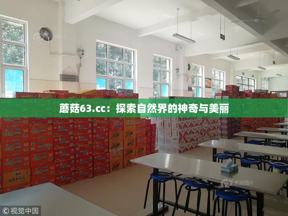 蘑菇63.㏄：探索自然界的神奇与美丽