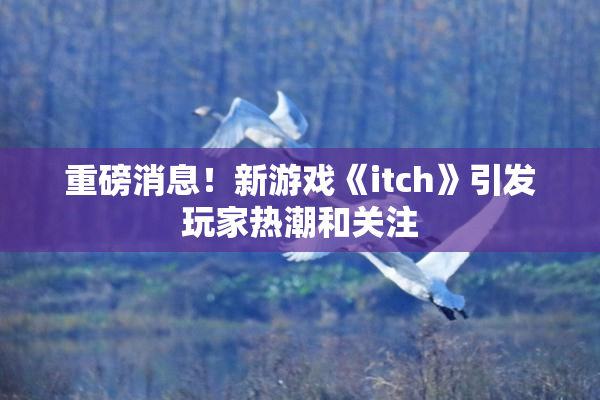 重磅消息！新游戏《itch》引发玩家热潮和关注