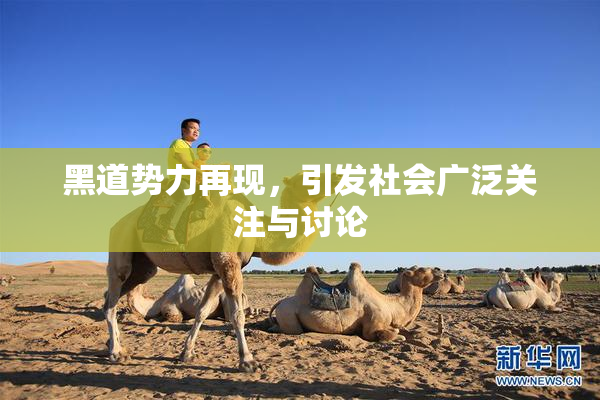 黑道势力再现，引发社会广泛关注与讨论
