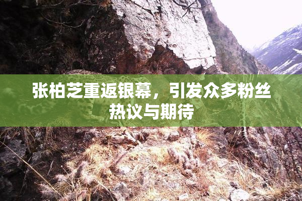 张柏芝重返银幕，引发众多粉丝热议与期待