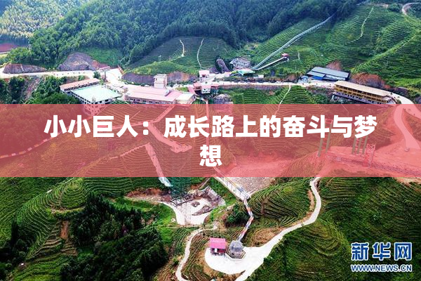 小小巨人：成长路上的奋斗与梦想