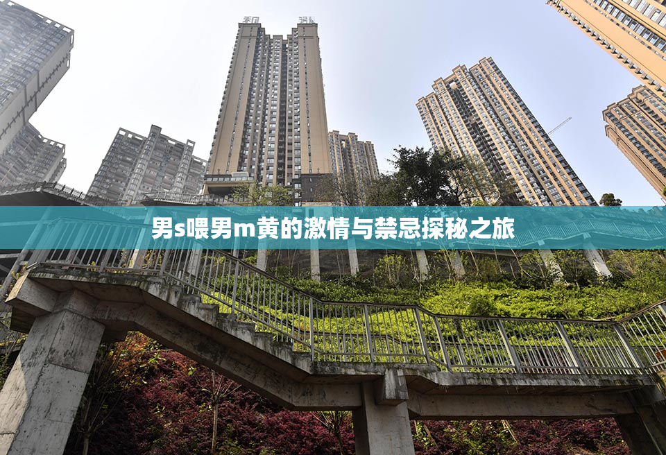 男s喂男m黄的激情与禁忌探秘之旅