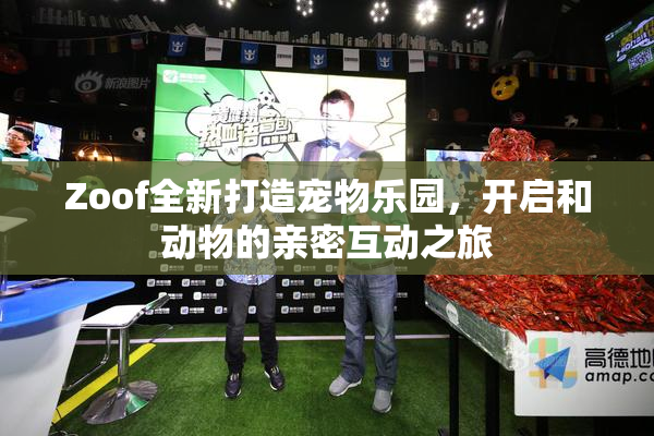Zoof全新打造宠物乐园，开启和动物的亲密互动之旅