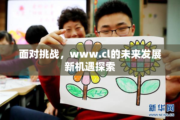 面对挑战，www.cl的未来发展新机遇探索