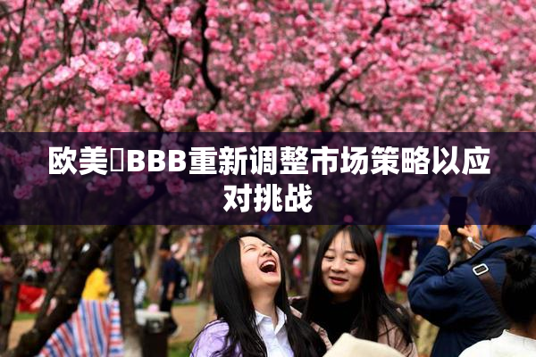 欧美槡BBB重新调整市场策略以应对挑战