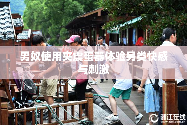男奴使用夹震蛋器体验另类快感与刺激
