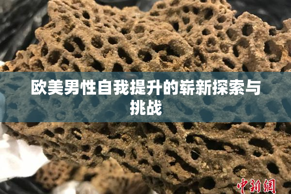 欧美男性自我提升的崭新探索与挑战