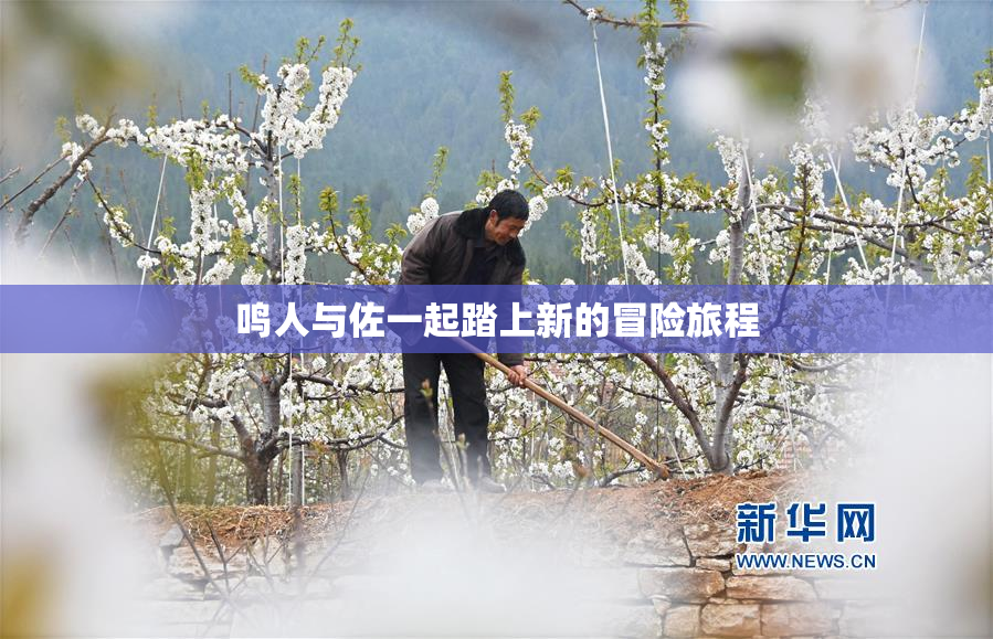鸣人与佐一起踏上新的冒险旅程