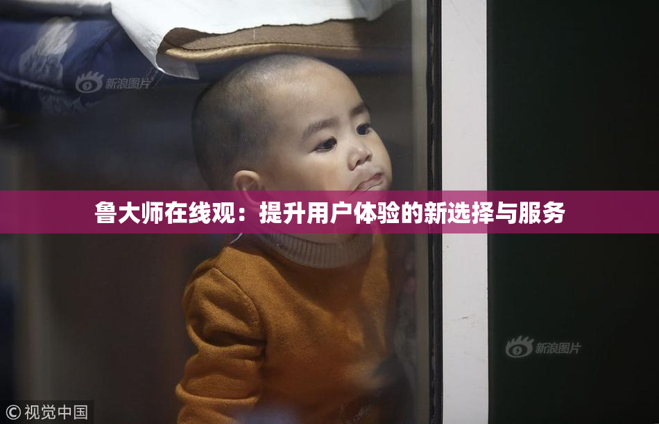 鲁大师在线观：提升用户体验的新选择与服务