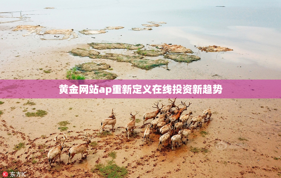 黄金网站ap重新定义在线投资新趋势