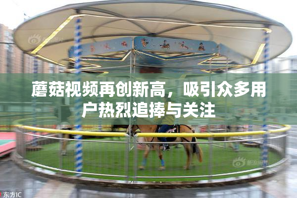 蘑菇视频再创新高，吸引众多用户热烈追捧与关注