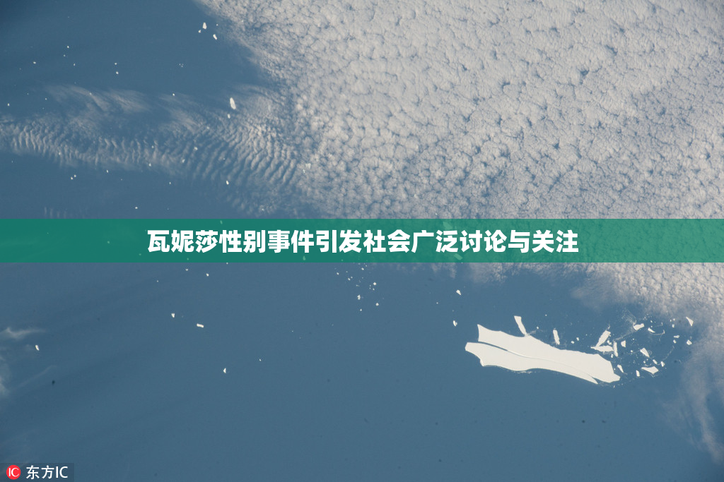 瓦妮莎性别事件引发社会广泛讨论与关注