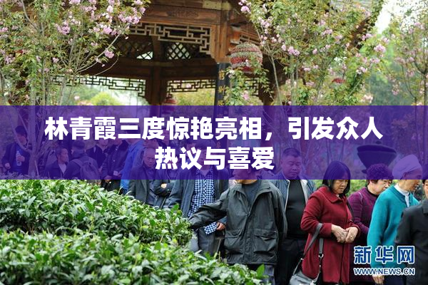林青霞三度惊艳亮相，引发众人热议与喜爱