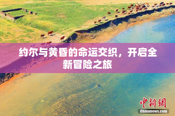 约尔与黄昏的命运交织，开启全新冒险之旅