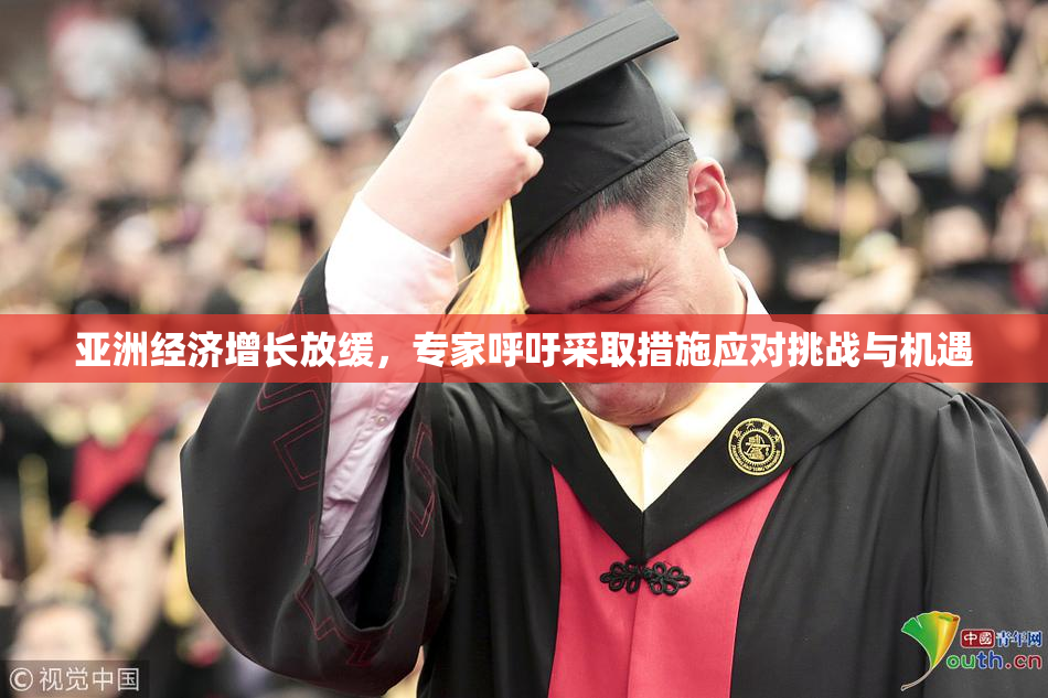亚洲经济增长放缓，专家呼吁采取措施应对挑战与机遇
