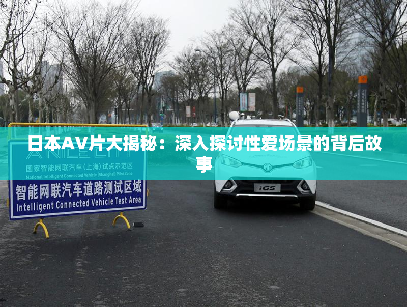 日本AV片大揭秘：深入探讨性爱场景的背后故事