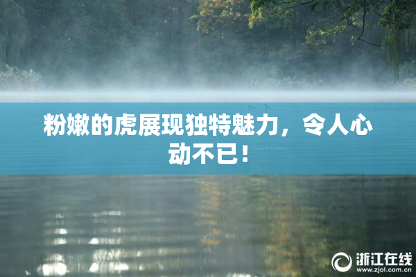 粉嫩的虎展现独特魅力，令人心动不已！