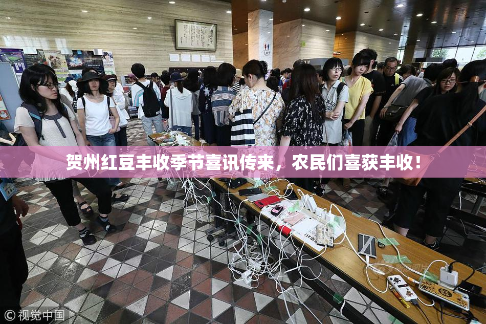 贺州红豆丰收季节喜讯传来，农民们喜获丰收！