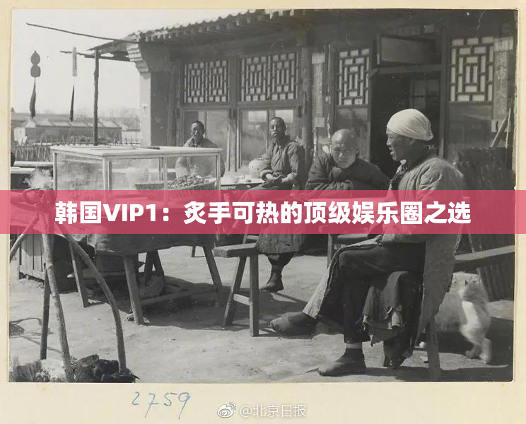 韩国VIP1：炙手可热的顶级娱乐圈之选