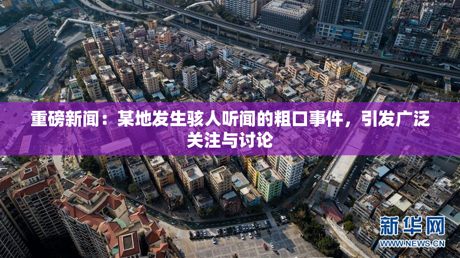 重磅新闻：某地发生骇人听闻的粗口事件，引发广泛关注与讨论