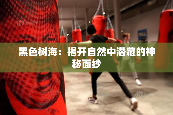 黑色树海：揭开自然中潜藏的神秘面纱