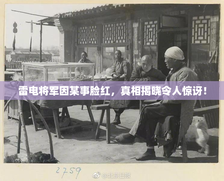 雷电将军因某事脸红，真相揭晓令人惊讶！