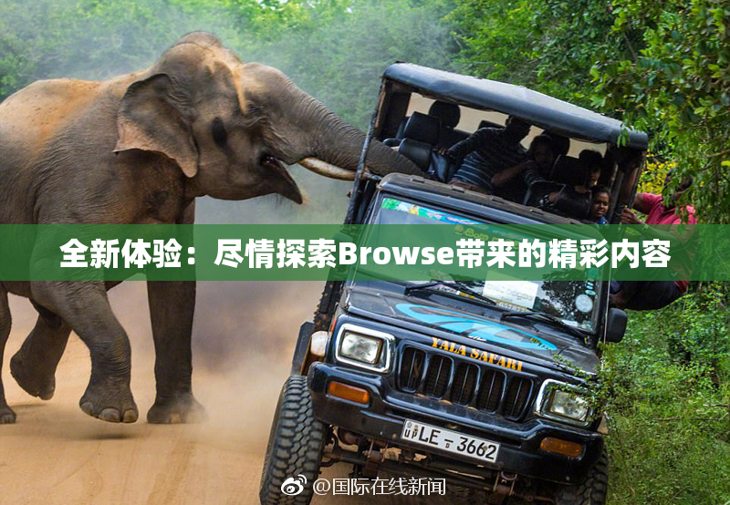 全新体验：尽情探索Browse带来的精彩内容