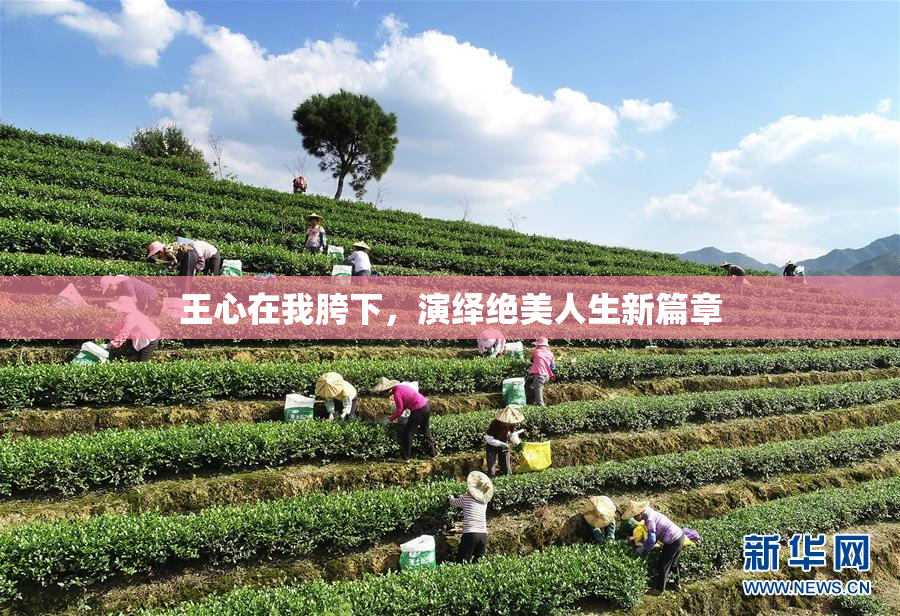 王心在我胯下，演绎绝美人生新篇章