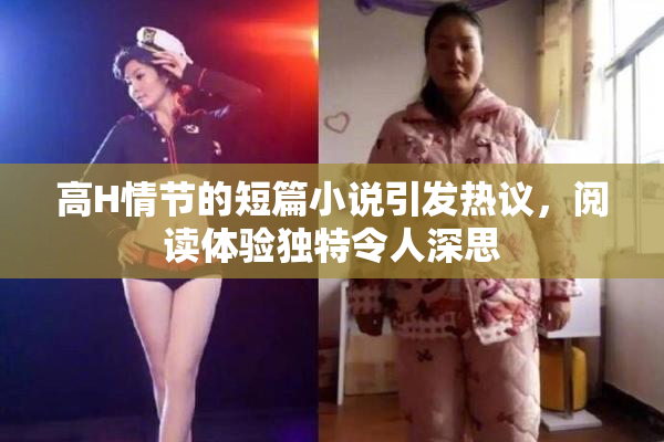 高H情节的短篇小说引发热议，阅读体验独特令人深思