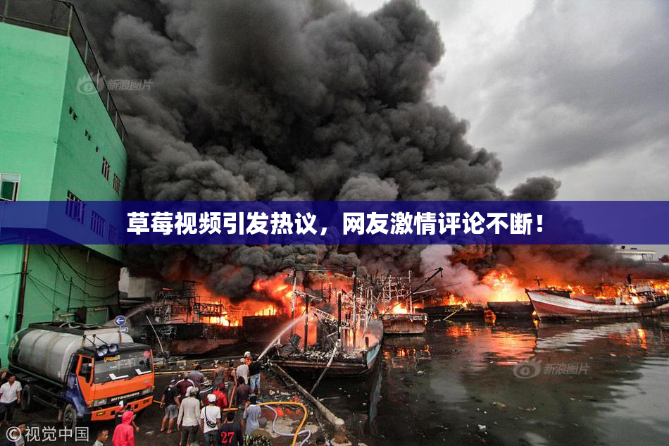 草莓视频引发热议，网友激情评论不断！