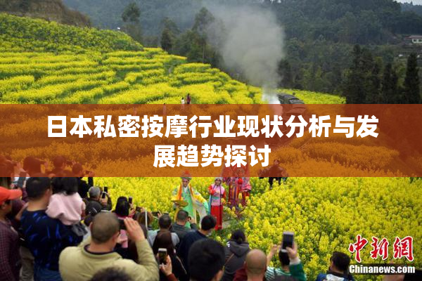 日本私密按摩行业现状分析与发展趋势探讨