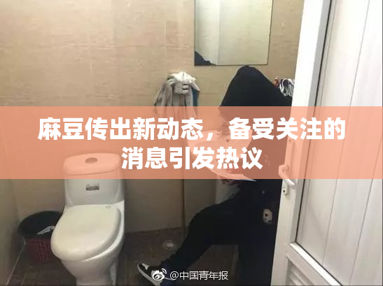 麻豆传出新动态，备受关注的消息引发热议