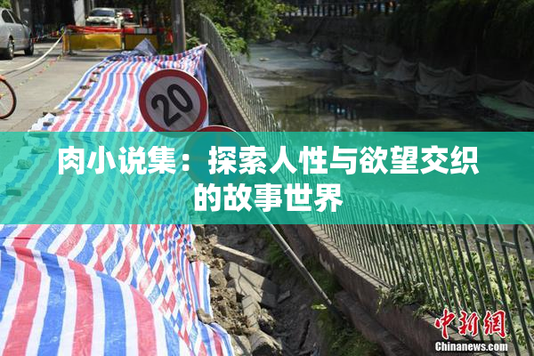 肉小说集：探索人性与欲望交织的故事世界