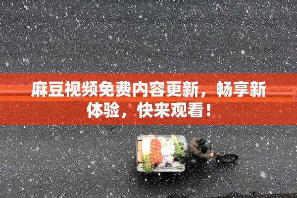 麻豆视频免费内容更新，畅享新体验，快来观看！