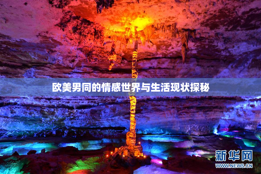 欧美男同的情感世界与生活现状探秘