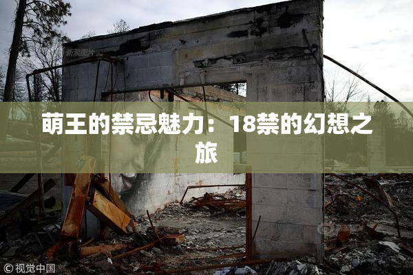 萌王的禁忌魅力：18禁的幻想之旅
