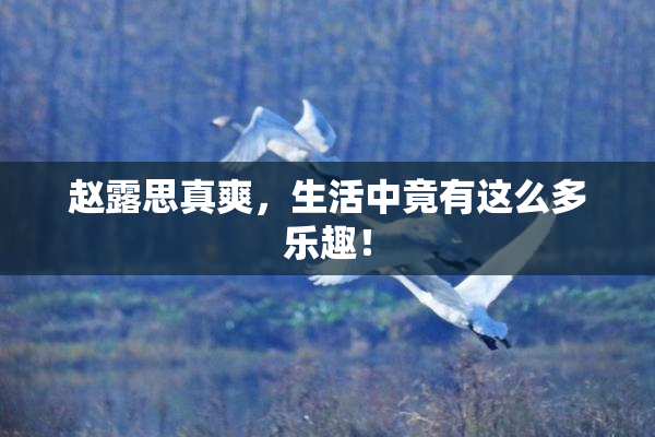赵露思真爽，生活中竟有这么多乐趣！